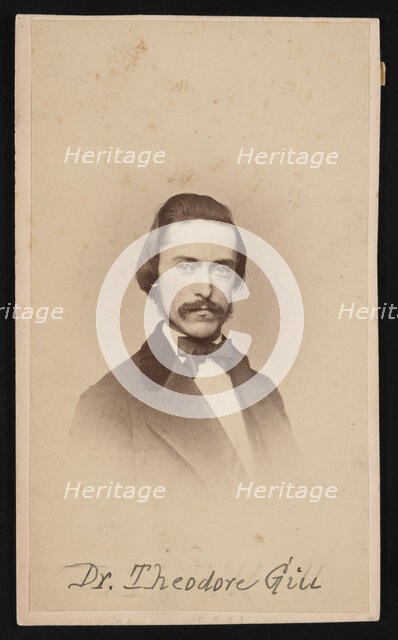 Portrait of Theodore Nicholas Gill (1837-1914), Circa 1860s. Creator: Unknown.