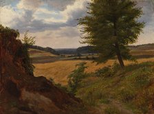 Tree in Field Landscape, Study, 1854. Creator: Werner Holmberg.