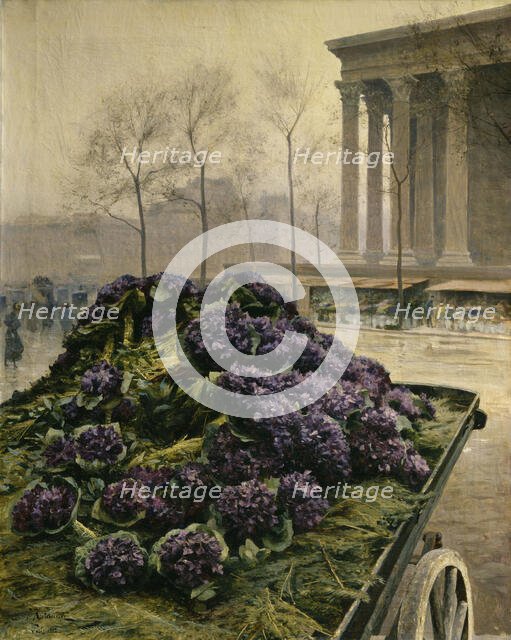 Violets from Nice, 1902. Creator: Krachkovsky, Iosiph Evstafievich (1854-1914).