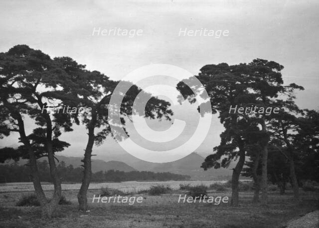 Travel views of Japan and Korea, 1908. Creator: Arnold Genthe.