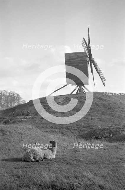 Brill Windmill, Buckinghamshire, 1934. Artist: HES Simmons.