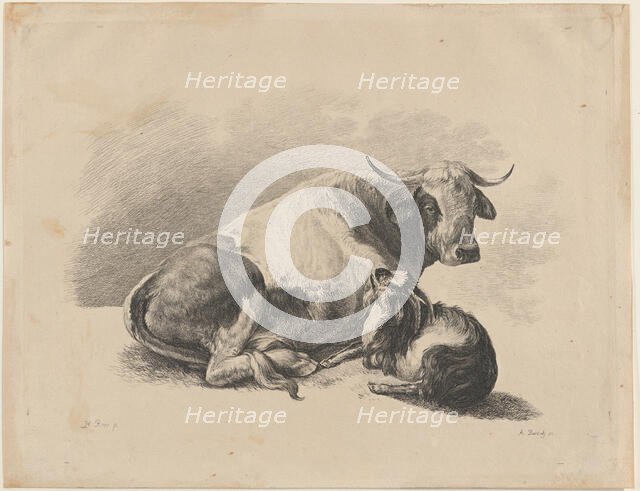 Cow and goat lying down, 1800-01. Creator: Adam von Bartsch.