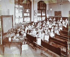 Nature lesson, Albion Street Girls School, Rotherhithe, London, 1908. Artist: Unknown.