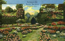 'Sunnyside Rose Garden, Charlotte, N.C.', 1942. Creator: Unknown.