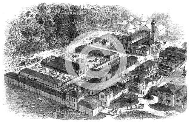 Birdseye view of the late Prince Consort's model farm at Windsor, 1862. Creator: Unknown.