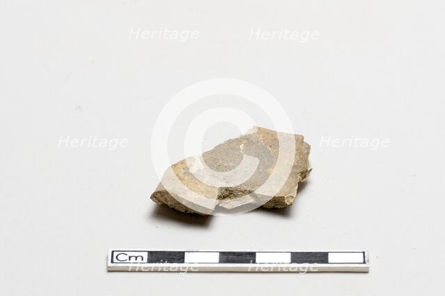 Oracle bone, inscribed, Shang dynasty, ca. 1600 - ca. 1050 BCE. Creator: Unknown.