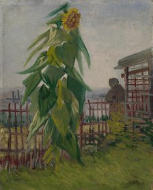 Allotment with Sunflower, 1887. Creator: Gogh, Vincent, van (1853-1890).