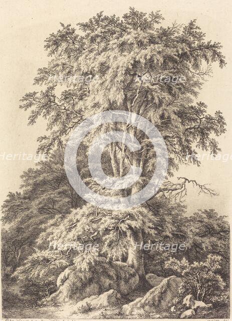 Beech Grove, 1840. Creator: Eugene Blery.