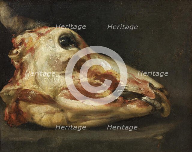 Skinned Head of an Ox, 1688-1691. Creators: Francisco Goya, Felice Boselli.