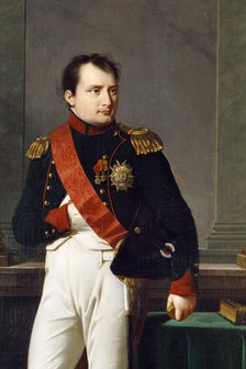 Detail of a portrait of Napoleon Bonaparte, 1812. Artist: Robert Lefevre.