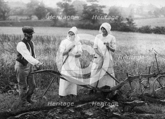 Ploughman, late 19th or early 20th century. Artist: Unknown