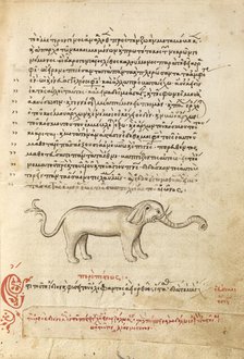 An Elephant, 1510-1520. Creator: Unknown.