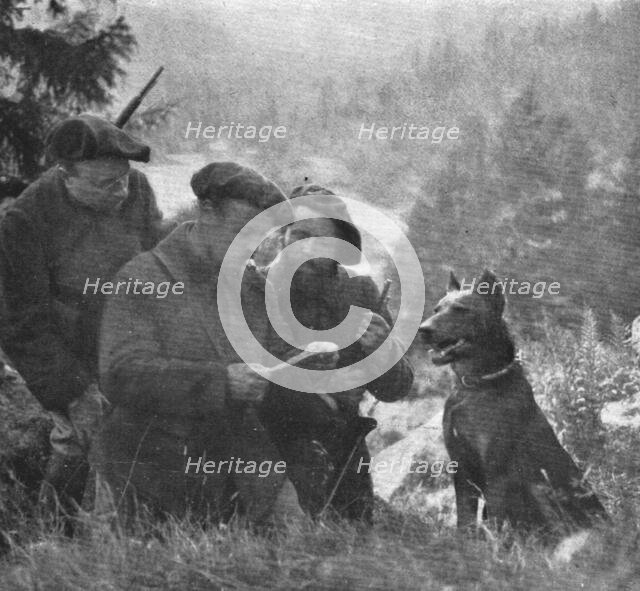 'Skieurs et chiens de guerre dans les neiges vosgiennes; Arrivee d'un chien de liaison..., 1916. Creator: Unknown.