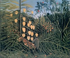 'Tropical Forest: Battling Tiger and Buffalo', 1908.  Artist: Henri Rousseau