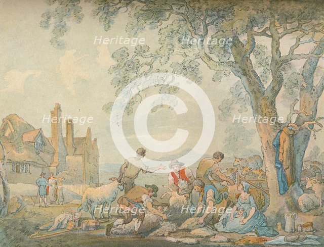 Sheep-Shearing, c1776-1827, (1906). Artist: Thomas Rowlandson
