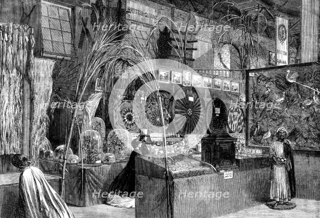 The International Exhibition: British Guiana and Barbadoes Courts..., 1862. Creator: Unknown.