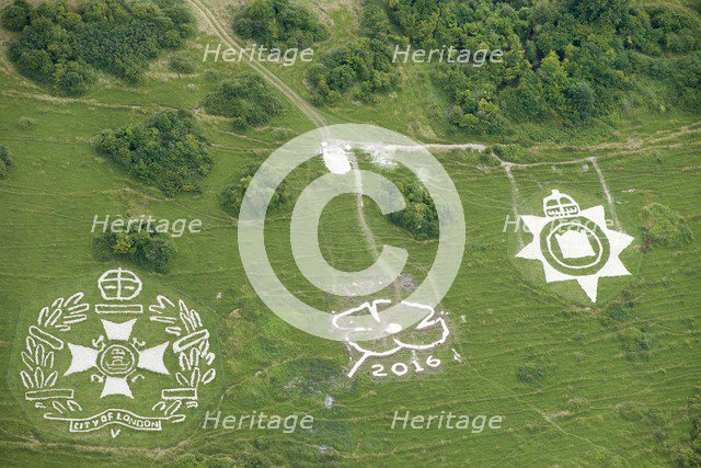 Chalk military badges, Fovant Down, Wiltshire, 2016. Creator: Historic England Staff Photographer.