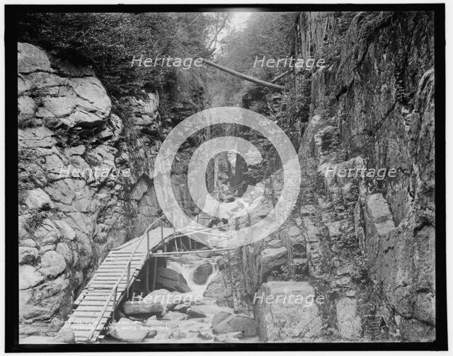 The Flume, looking up, Franconia Notch, White Mountains, between 1890 and 1901. Creator: Unknown.
