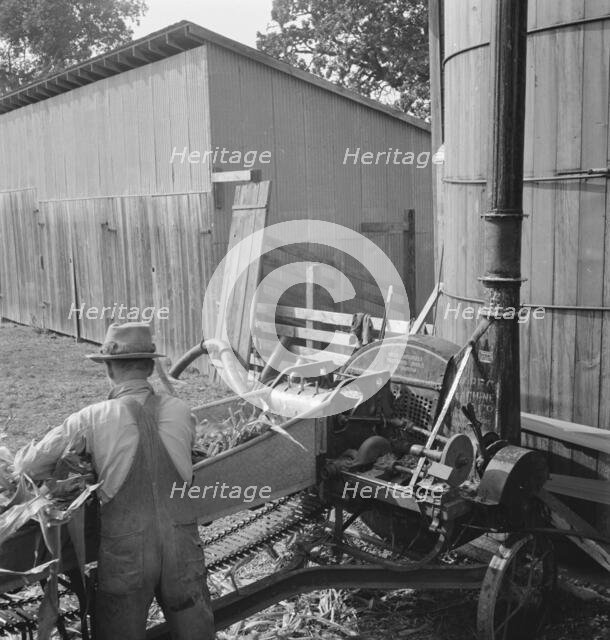 Farmers feeding corn into cooperatively..., near W Street at Carlton, Yamhill County, Oregon, 1939. Creator: Dorothea Lange.