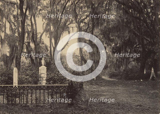 Buen-Ventura, Savanah, Georgia, 1860s. Creator: George N. Barnard.