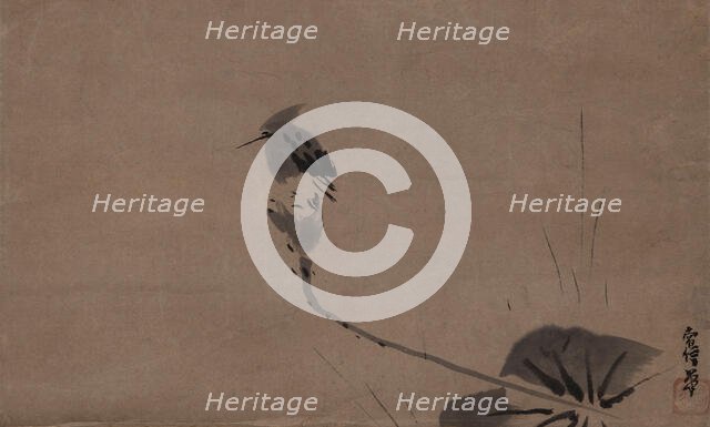 A kingfisher, 17th century. Creator: Tsunenobu; Kano (1636&ndash1713).