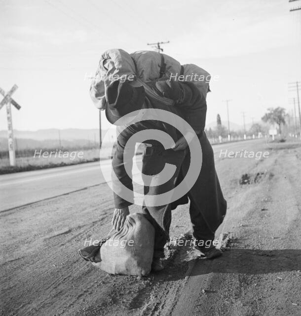 More than twenty-five years a bindle-stiff..., Napa Valley, California, 1938. Creator: Dorothea Lange.