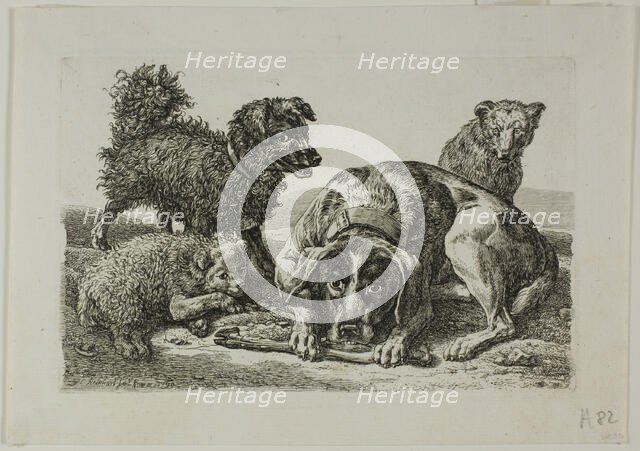 Four Dogs, from Die Zweite Thierfolge, 1799/1803. Creator: Johann Christian Reinhart.