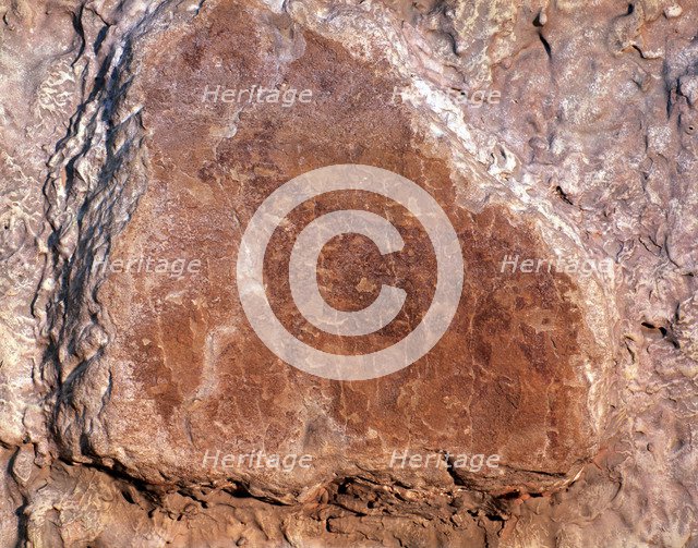 Deer marching, drawn in red with spot colors. Levantine Art, from the Canyon of Calapata in Creta…