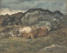 Tiger Rolling on Its Back, 1810-75. Creator: Antoine-Louis Barye.