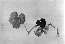 Grapevine, after 1790. Creator: Go Shun.