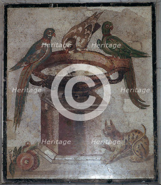 Roman mosaic of birds and a cat at a fountain, 1st century.  Creator: Unknown.