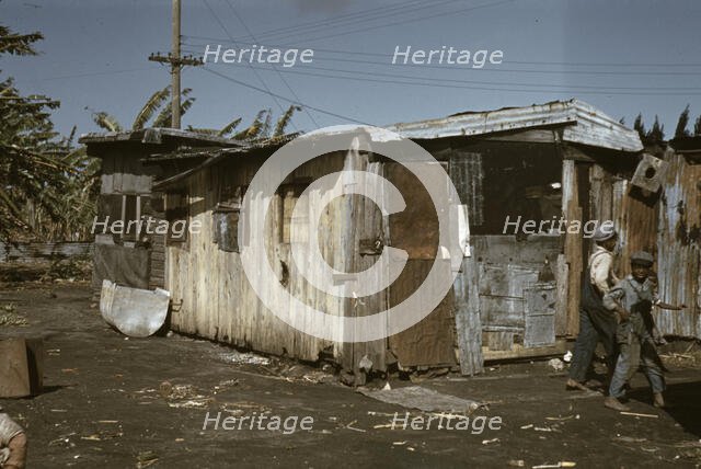 Shacks of Negro migratory workers, Belle Glade, Fla., 1941. Creator: Marion Post Wolcott.
