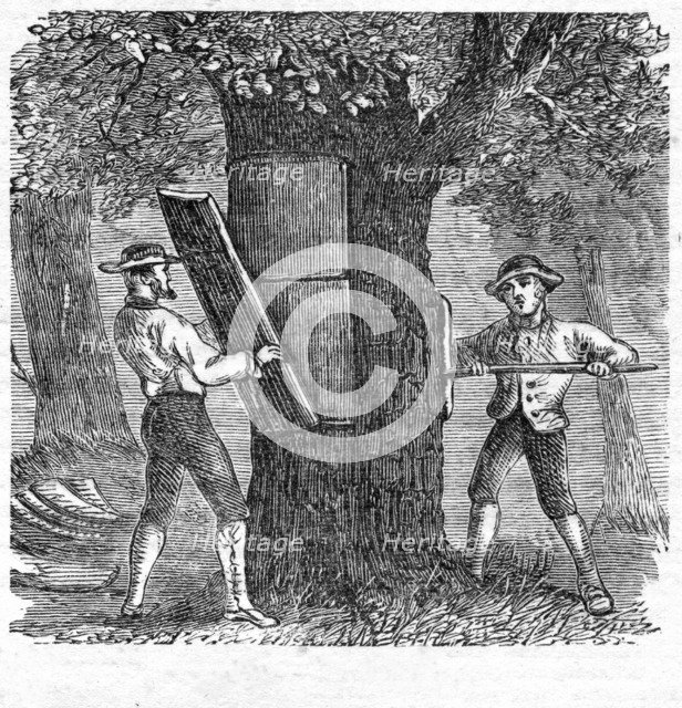 Harvesting Cork, pub. 1885 (engraving), 1885. Creator: French School (19th Century).