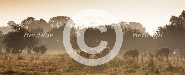 Denny Abbey, Waterbeach, South Cambridgeshire, Cambridgeshire, 2023. Creator: James O Davies.