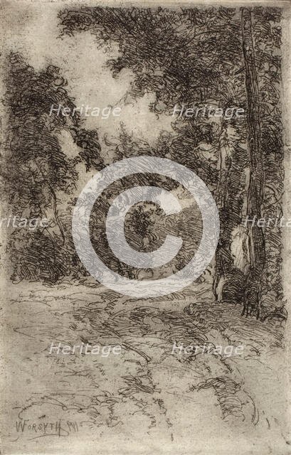 Williams Creek, 1911. Creator: William Forsyth.