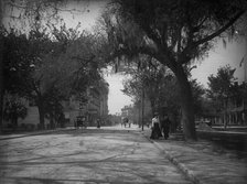 King Street, St. Augustine, c1902. Creator: William H. Jackson.