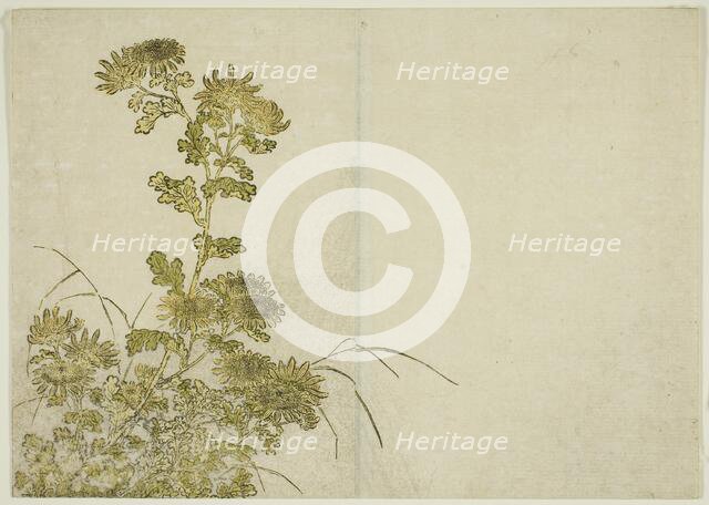 Winter Flowers: Chrysanthemums, from the book "Mirror of Beautiful Women of the Pleasure..., 1776. Creator: Shunsho.