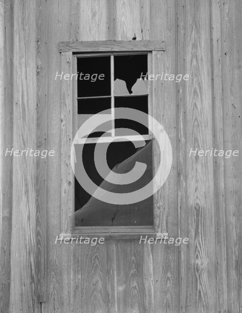 Abandoned shack of a tenant farmer near Roscoe, Texas, 1937. Creator: Dorothea Lange.