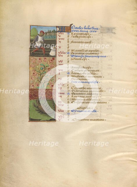 October Calendar Page; Sowing; Scorpio; Katherine Hours, about 1480-1485. Creator: Unknown.