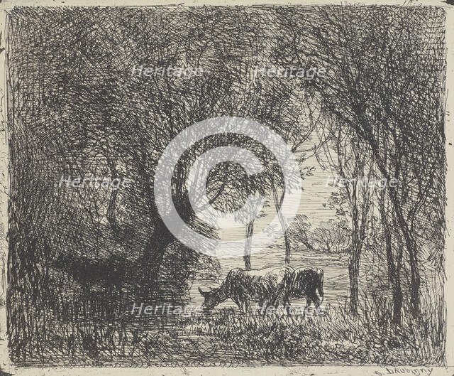 Cows in woods, 1862. Creator: Charles Francois Daubigny.