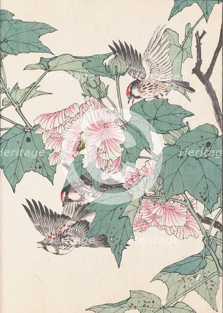 The Four Seasons Bird and Flower Albums (Keinen Kacho Gafu), 1891-1892. Creator: Keinen, Imao (1845-1924).