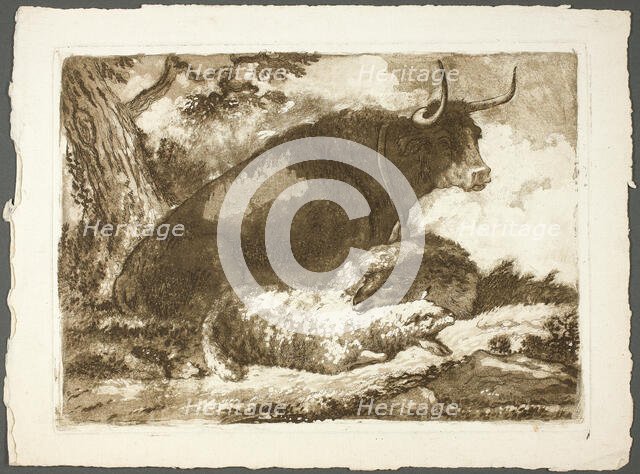 A Bull and Two Sheep, n.d. Creator: Pierre Lelu.