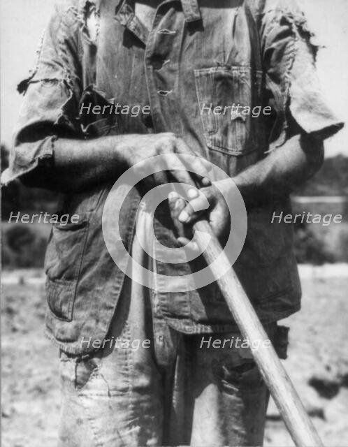 Hoe culture - Alabama tenant farmer near Anniston, 1936. Creator: Dorothea Lange.