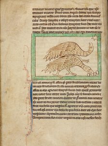 Ostriches; Northumberland Bestiary, about 1250-1260. Creator: Unknown.