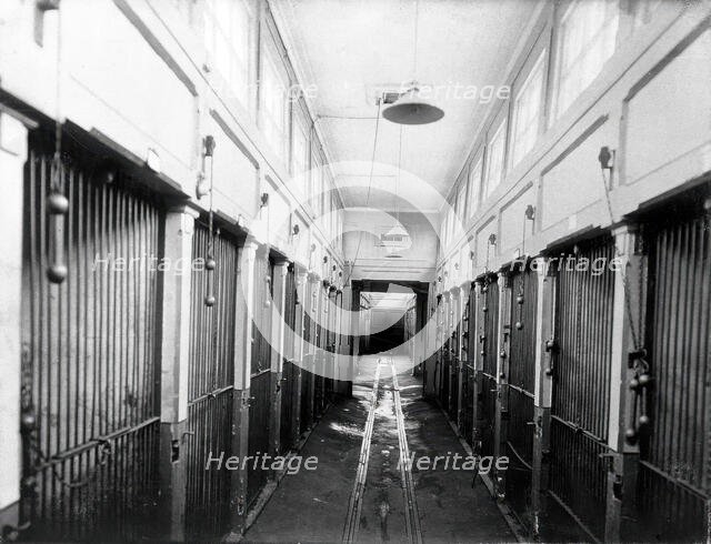 The central corridor of the vivarium (animal house) with cages for the animals, in the..., 1904. Creator: Unknown.