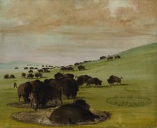 Buffalo Bulls in a Wallow, 1837-1839. Creator: George Catlin.