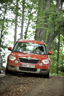 Skoda Yeti 2009. Artist: Simon Clay.