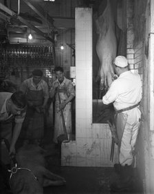Butchery factory, Rawmarsh, South Yorkshire, 1955.  Artist: Michael Walters