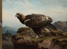 Golden Eagle at a Cliff's Edge, 1880. Creator: Ferdinand von Wright.