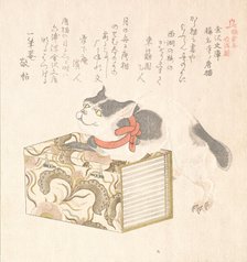 Spring Rain Collection..., early to mid-1810s. Creator: Kubo Shunman.